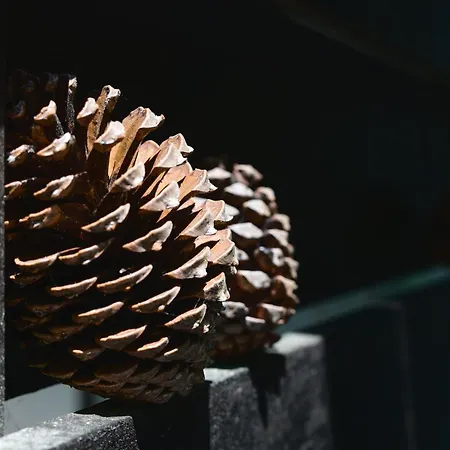 La Cachette Du Sejour Nature Et Confort Pour Des Souvenirs Inoubliables Holiday home